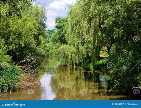 Reflection in the river stock image. Image of color, branch - 6359657