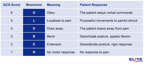 GCS Mnemonic Guide: EYES, VOICE, OLD BEN | Elite Ambulance