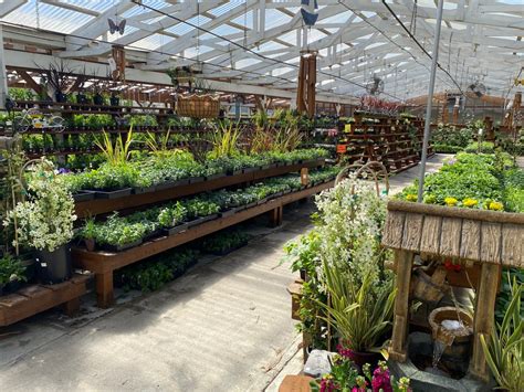 Spruce up Your Garden with These Plant Nurseries and Garden Centers in Olympia and Surrounding ...