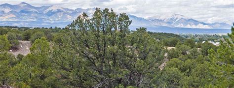 Rainbow Trail East - Buena Vista & Salida, Colorado Visitor Guide