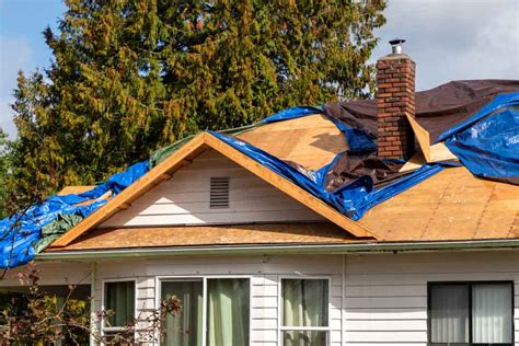 The Basics of Roof Repair That Every Homeowner Should Know