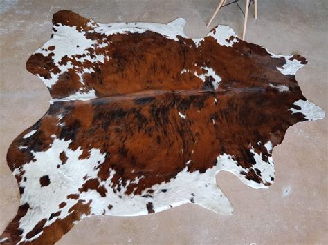 Tricolor Cowhide Rug Cow Hide Rugs on Sale - Etsy