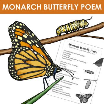 Monarch Butterfly Poem/ Song by Kindergarten Inquiry Resources | TPT