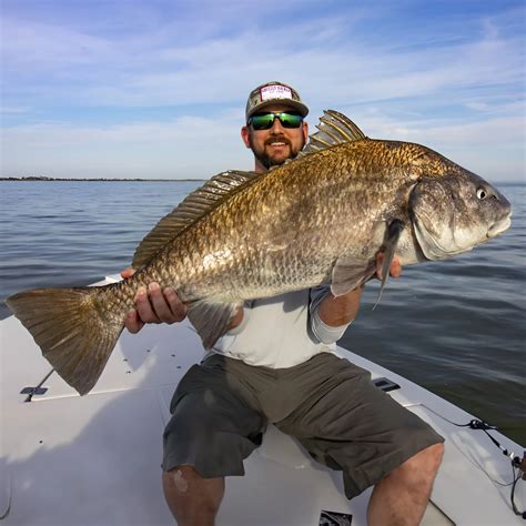 Black Drum Fishing in Florida: Tips and Techniques