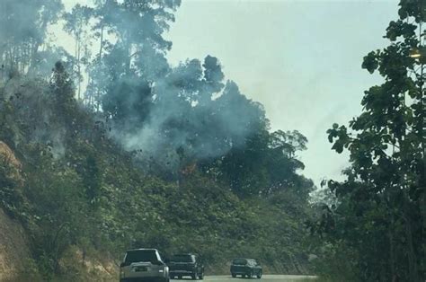 Indonesia’s Forest Fires – What You Need to Know