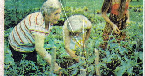 Burlington Area Community Gardens History: Gardening with Burlington Seniors - Summer 1980