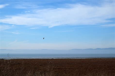 Mare Island San Pablo Bay Hiking Trail - Vallejo, California Travel ...