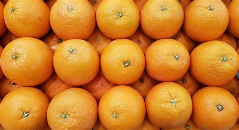 15 Delicious Tangerine Tree Varieties - ProGardenTips