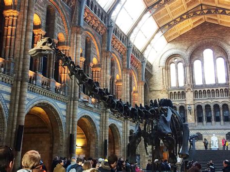 Natural History Museum, London – Toddle Doddle