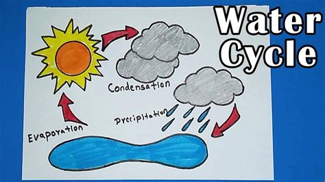 How to draw Water Cycle of a School Project - YouTube