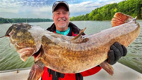 Flathead Catfish Bait: Five Tips For Success - YouTube