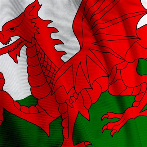 Welsh flag | Ship Management International