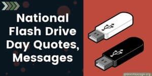 National Flash Drive Day Inspirational Quotes, Messages