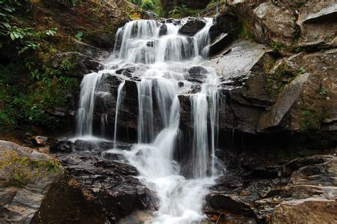 Rock Garden And Ganga Maya Park - One of the Top Attractions in Darjeeling, India - Yatra.com