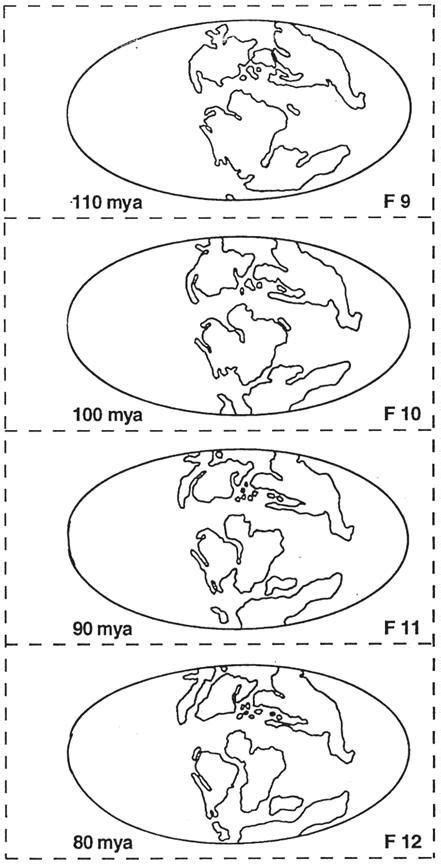 Pangea Puzzle Worksheet