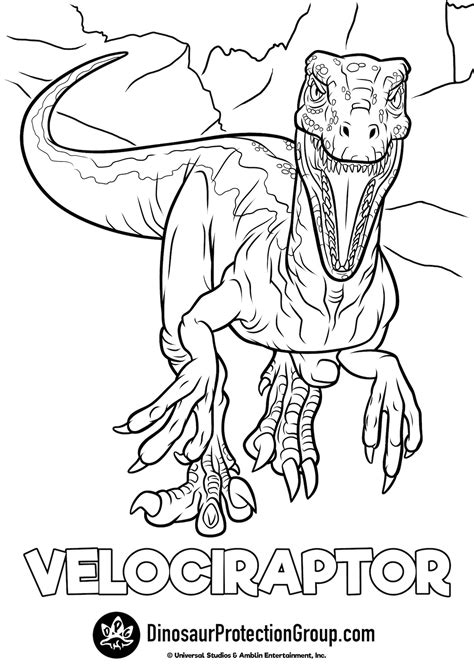 Coloring Pages Velociraptor Blue Jurassic Coloring Pages | Porn Sex Picture