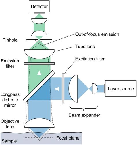 11: Schematic depiction of a typical confocal microscope. | Download ...