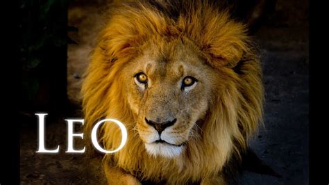 All about Leo with astrologer Michele knight - YouTube