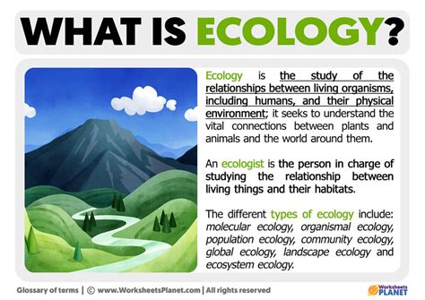 What is Ecology | Definition of Ecology