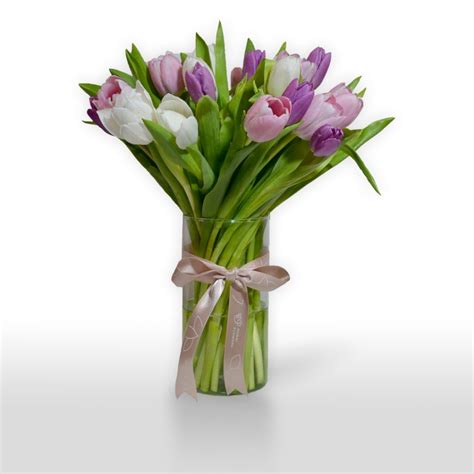 Tulip Flowers Arrangements | Fresh Flower Delivery to Dubai