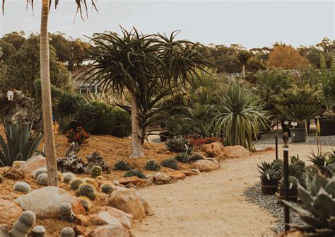 Karnup Nursery | Arid & Exotics Garden | Western Australia