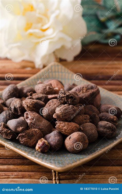 Shea butter stock photo. Image of butter, flower, studio - 18377010