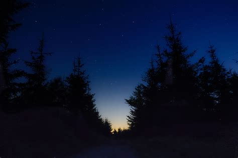 Images Gratuites : arbre, forêt, Montagne, neige, hiver, ciel, nuit, lumière du soleil, étoile ...