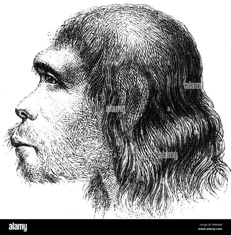 aeon / prehistory, people, prehistoric men, homo sapiens Stock Photo ...