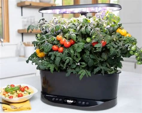 What Are The Aerogarden Special Ingredients? - The Gardener