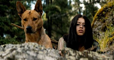 The Best Movies Based on Tribes, Ranked