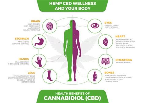 What Are the Benefits of CBD? CBD Benefits Chart | Kushfly