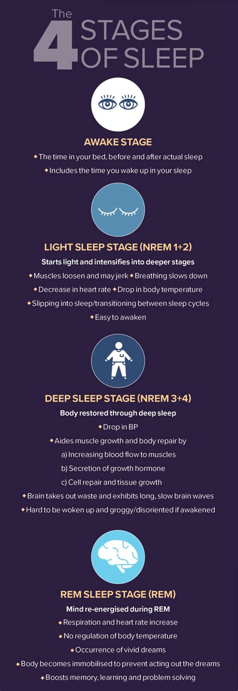 Stages of sleep cycle