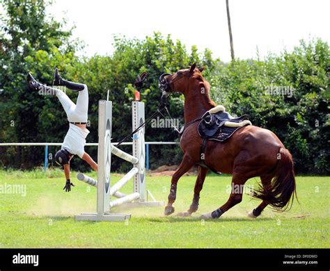 Horses Jumping Really High And Falling