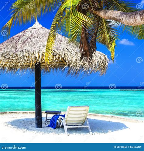 Tropical Getaway - Maldives Islands Stock Image - Image of ocean, asia ...