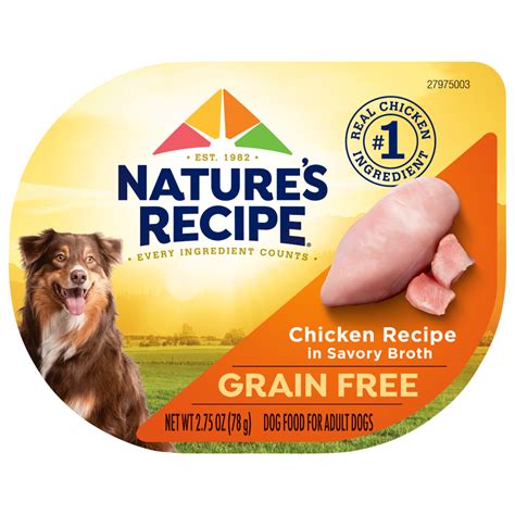 Grain Free Chicken Recipe | Nature's Recipe®