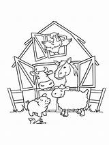 Preschool Farm Coloring Pages sketch template