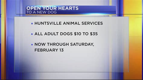 Huntsville Animal Services Valentine's Day Special | rocketcitynow.com