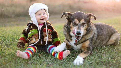 Fur Laughs: Watch 7 Funny Dogs Making Babies Laugh [VIDEOS] - DogTime