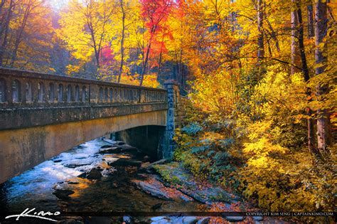 Fall Colors Brevard North Carolina Blue Ridge Mountain