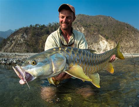 Experts raise concern over declining Mahseer numbers