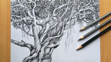 Incredible Compilation of Over 999 Tree Drawing Images, in Full 4K