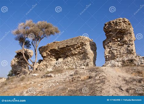 Ashkelon National Park stock photo. Image of hill, park - 17182498