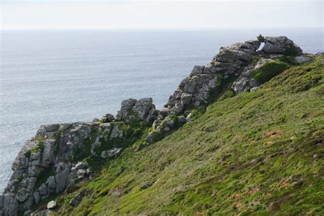 Zennor Head - The Cornish Bird