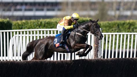 Will he stay the Gold Cup trip? Galopin Des Champs' pedigree in focus | Racing Post