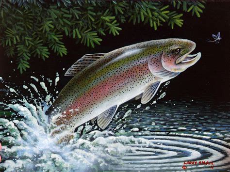 Rainbow Trout Painting Images & Pictures - Becuo | Trout painting ...