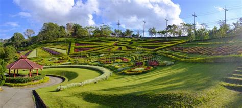 Panorama of flower garden stock image. Image of ornamental - 91561757