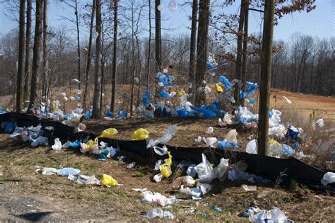 Why Littering Is Not the True Problem | Clean Water Action