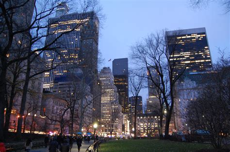 Winter Time at Central Park in Manhattan, New York City | Brain Contour