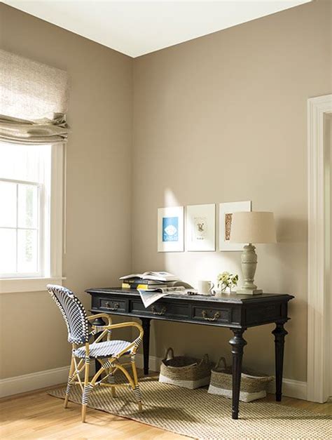 HOME OFFICE COLOR IDEAS & INSPIRATION