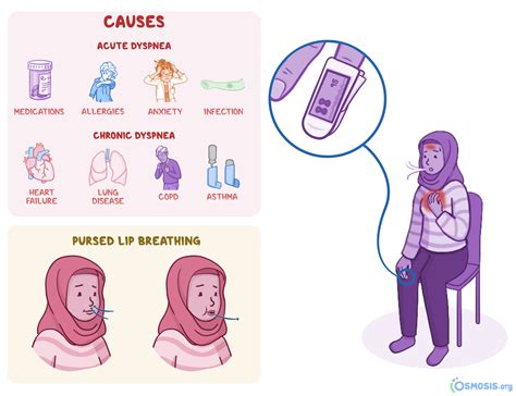 Dyspnea: What Is It, Pronunciation, Causes | Osmosis